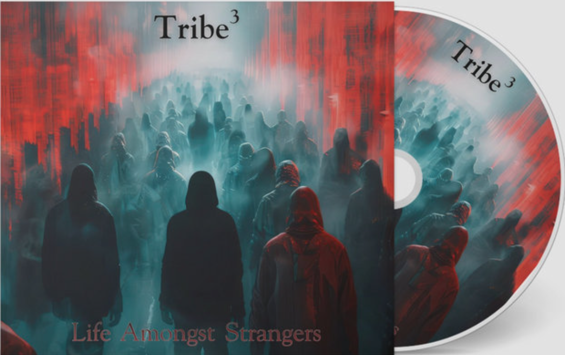 Review – Tribe3 – Life Amongst Strangers – by Jane Lee